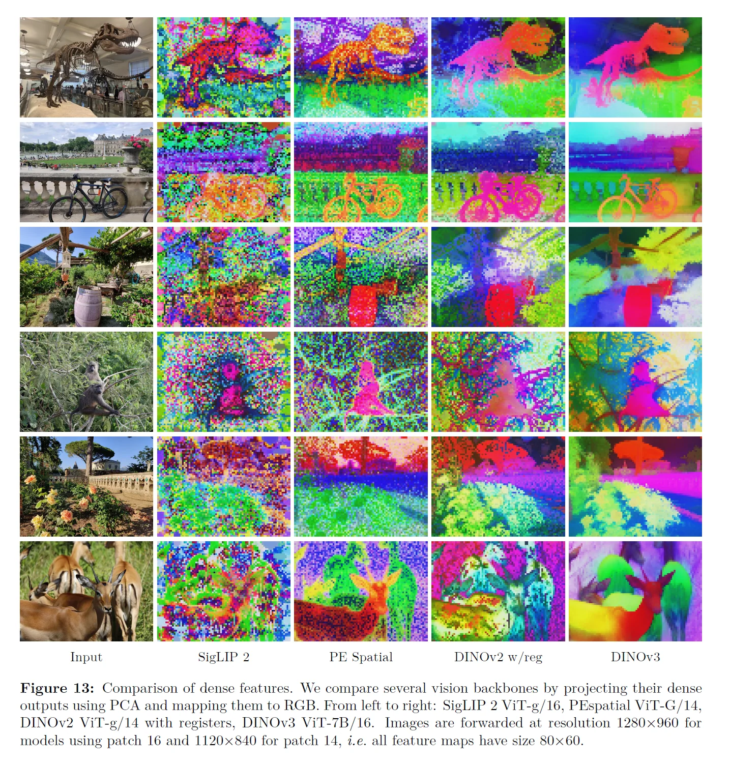 Dense feature visualizations comparing vision model representations